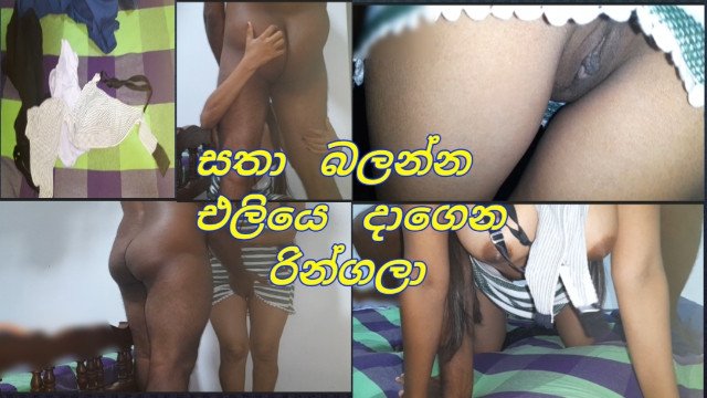 සතෙක් එලවන්න කෙල්ලො ඉන්න බෝඩිමට එන්න කිවුවා ඉතින් යනකොට (Go to her boarding school and fuck her