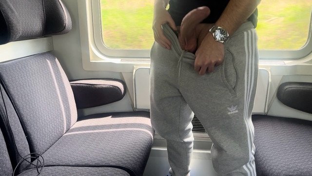 Hans and Tobias - Jerking my thick cock and cumming on the train in public