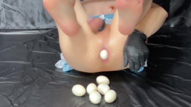 egg laying