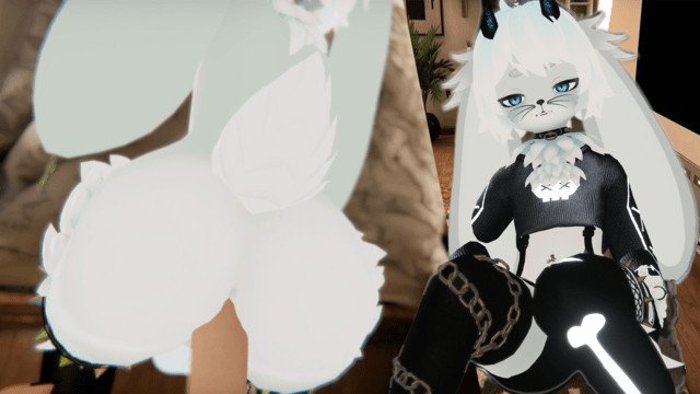 femboy bunny is different from what you expected...