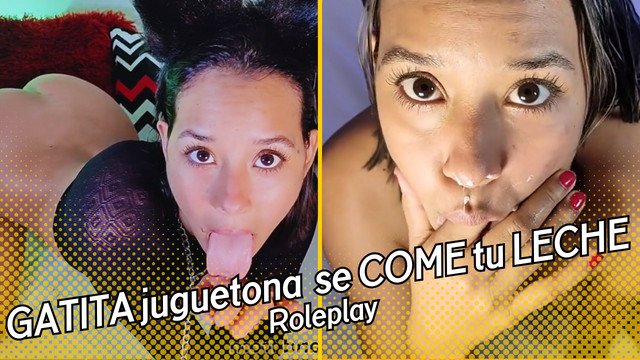 GATITA juguetona se COME tu LECHE (subtitulado)