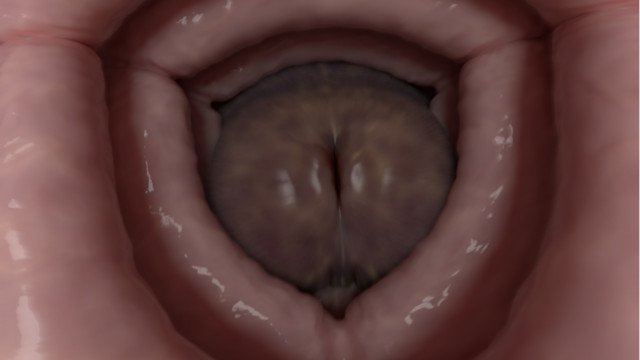 Double Trouble Giantess Edit (Futanari, POV, fleshlight insertion)