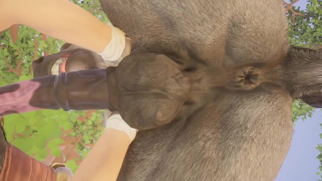 Big Stallion Horse Orgasm w/ Twink Boy Max (Furry Gay Sex)  Wild Life Furries