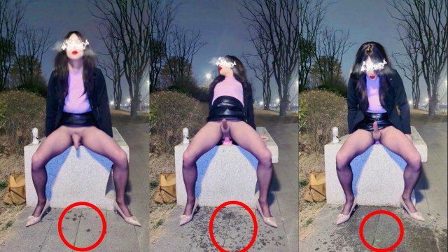 How did the slutty Chinese  ladyboy get the park sidewalk wet?