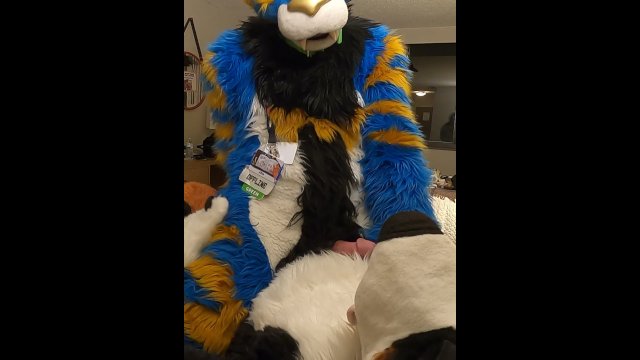 good kitty fucks the cum out of the bad dog then cums hands free