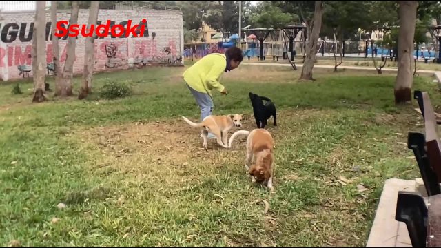 La ENGAÑE con ver gatos y la llevé a la cama para COGERLA, CREAMPIE sub eng