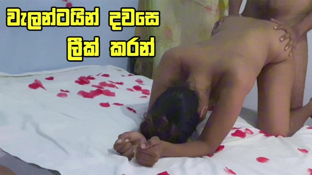 අලුත්ම හනිමූන් එක - Step Sisters Big Ass Filled with my cum Honeymoon Day - Sri Lanka