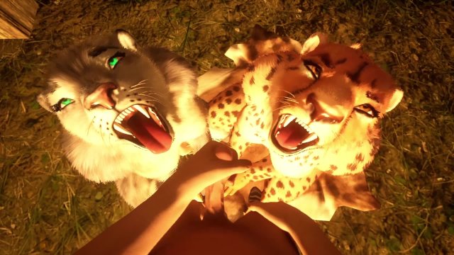 Naughty Kitties ( Wild Life )