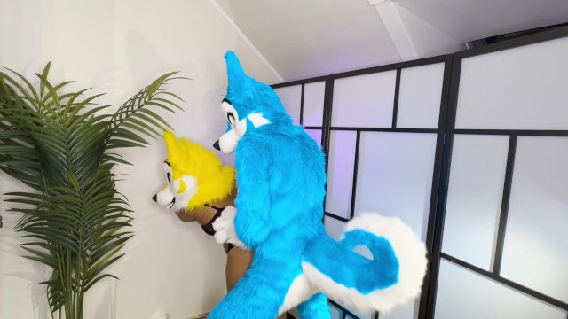 FURRIES IN HEAT MATING , CUM INSIDE