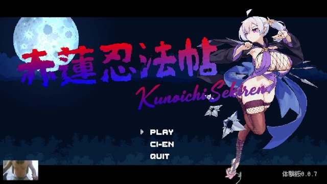 A SEXY KUNOICHI WORKING AT NIGHT - KUNOICHI SEKIREN