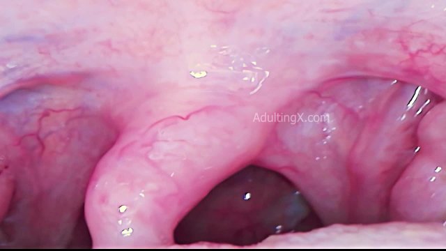 Camera inside Mouth, Uvula dancing, Singing, Throat vibrating, BTS