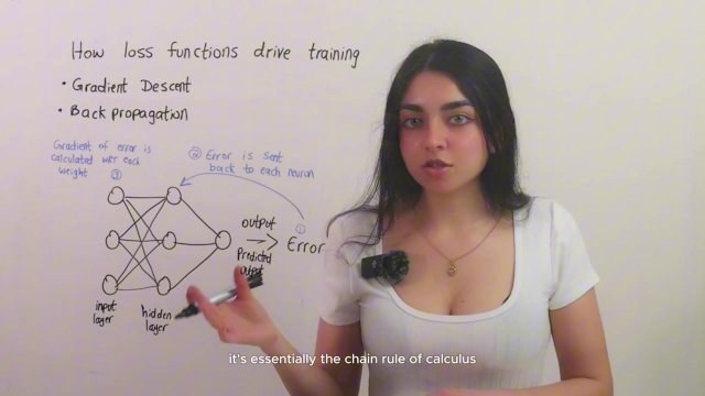 What is a Loss Function in Machine Learning?