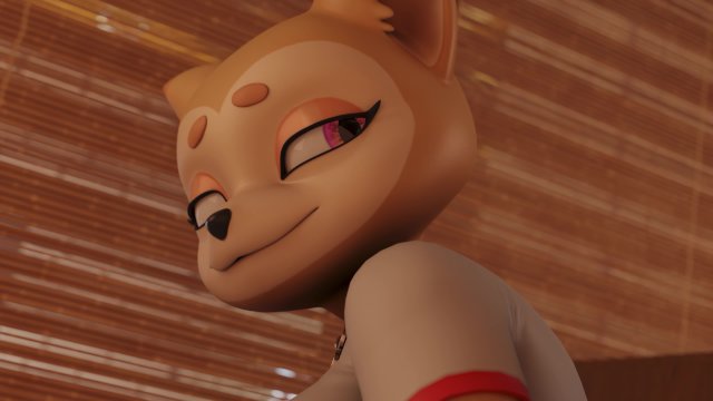 fun with Shiba