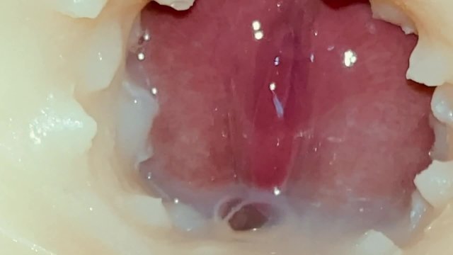 Explosive Orgasm: Fucking a Tight Pussy Doll and Cumming Inside with Internal Camera