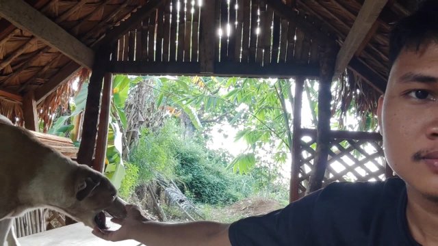KANTUTAN Vlog Kami Muna Ni Brownie habang Wala Tao SA Kubo