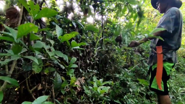 KANTUTAN Vlog muna gawa masisilungan para makapag Kantutan