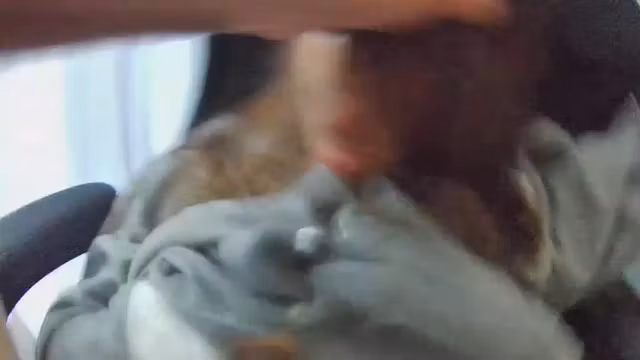 Real deception. Friends fuck my wife in the ass and mouth