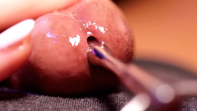 Cock Hole Sounding Rod - MolliPop