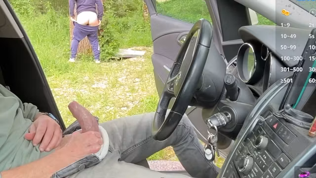 Wild Public Threesome – Car Hookup at a Cruising Spot