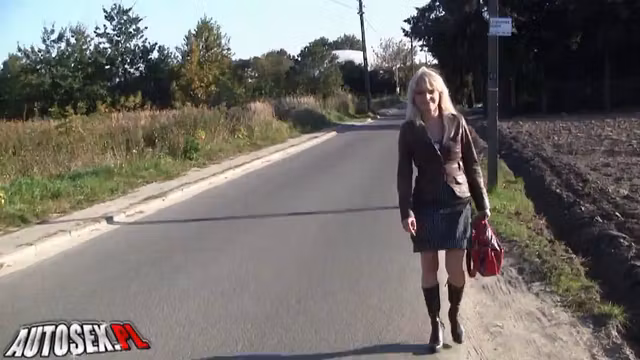 Polskie porno - Przyjemna podroż z nieznajomym