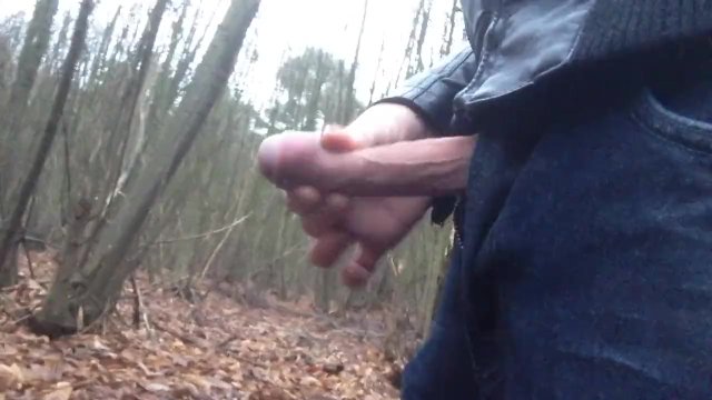 Walking with my penis out of my pants
