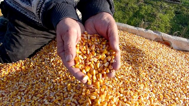 Deep Hardcorn Fisting