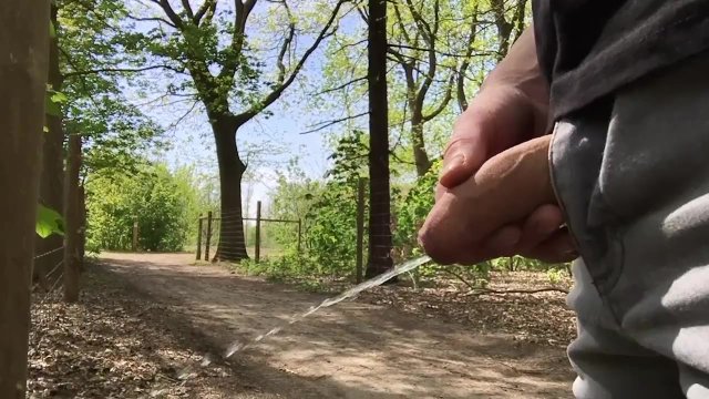 Nice flaccid cock public piss