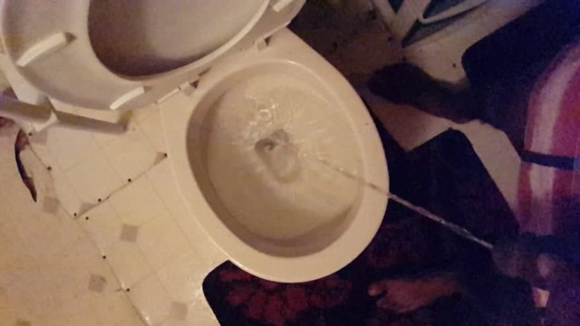 Alexs Piss After the Party