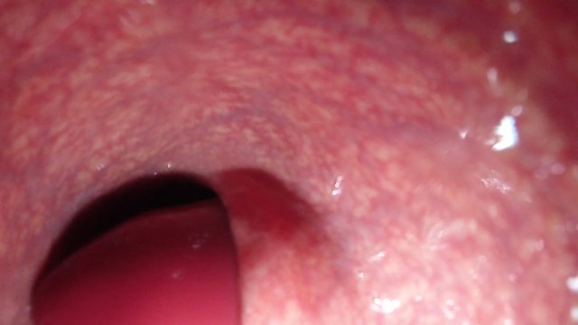 Internal View XL Bad Dragon Diego Anal Multi Cum Shot