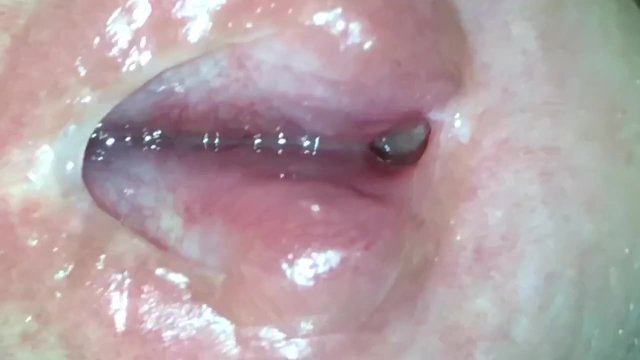 Inside My Cock - Part 1