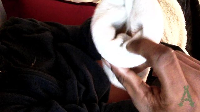A proper sock job