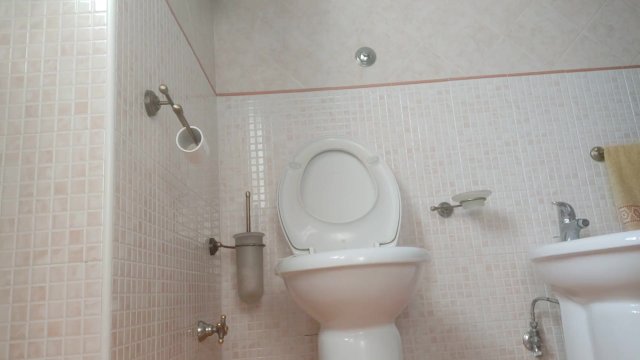 in quarantena e piena di pipì e aria