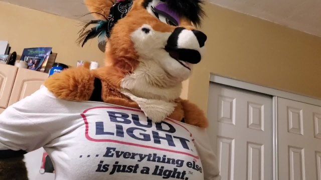furry x human