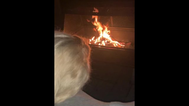 Stepbro creampies stepsis by the fire hoping they don’t get caught.