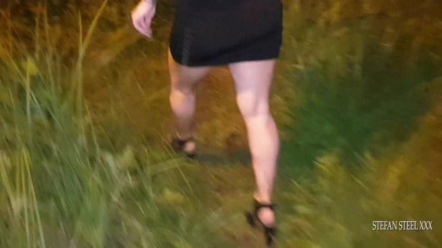 Stefan Steel fuck one hot brunette in the park