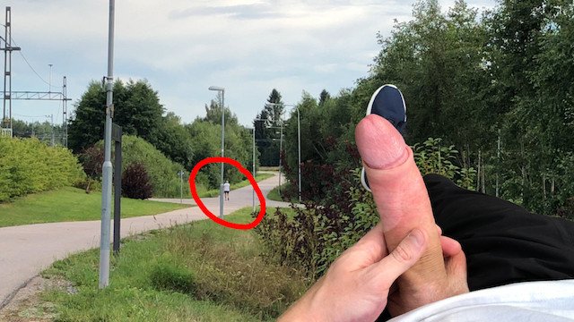 Train station dick flashing. Amateur exhibitionist jerk-off  Johann Wood