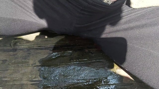 Public pissing in the woods