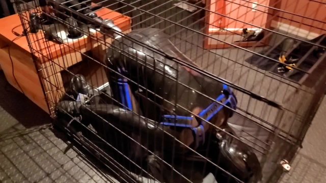 Relentless anal plowing of a restrained rubber gimp in a cage, locked in chastity and gagged