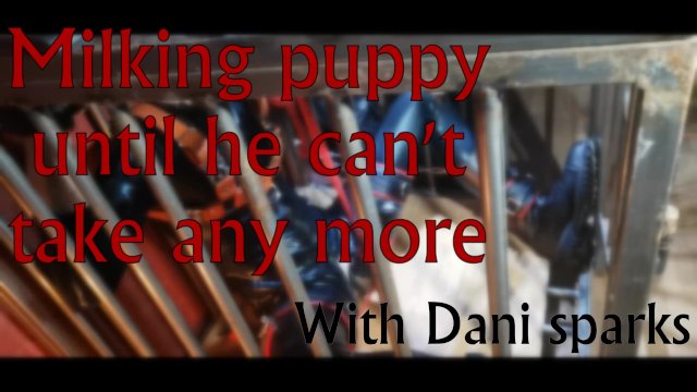 Milking puppy until he cant take any more