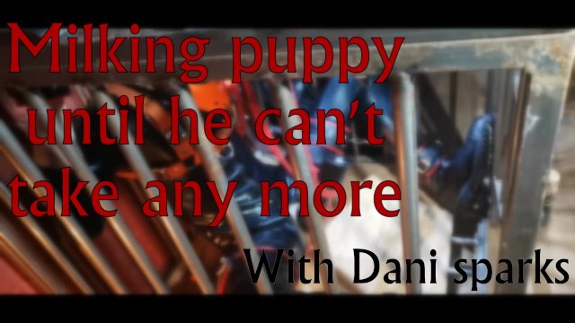 Milking Puppy