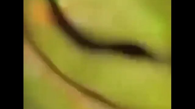 Caught in 4k your earlobes