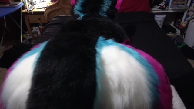 Shuly Hump (no sound)