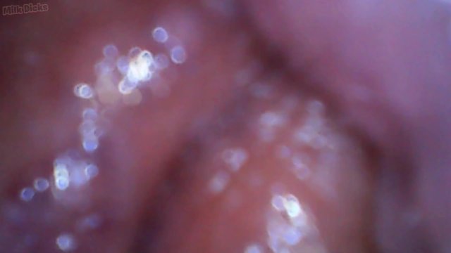 I put a camera inside my vagina to get my cervix POV