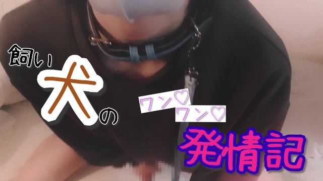 スウェットを着た飼い犬の わん♡わん♡ 発情記