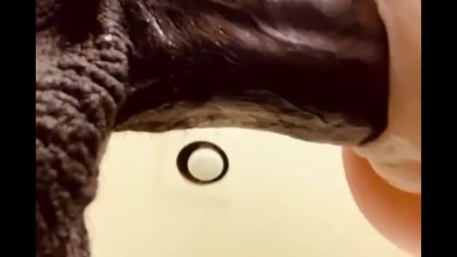 Sex Tape 2023 New