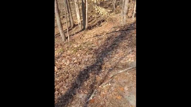Eagle like focus