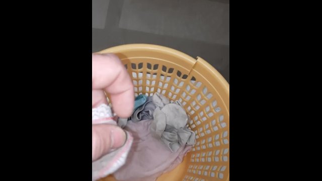 Wife's sister's   panties