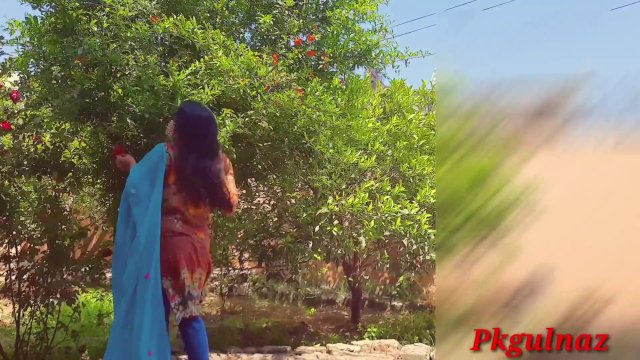 Desi stepsister fucked by her stepbrother in park behn ki park me chudai