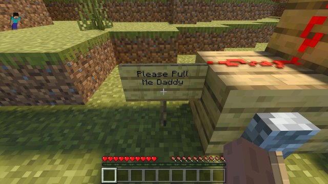 Getting  by a in Minecraft 14:  Lever