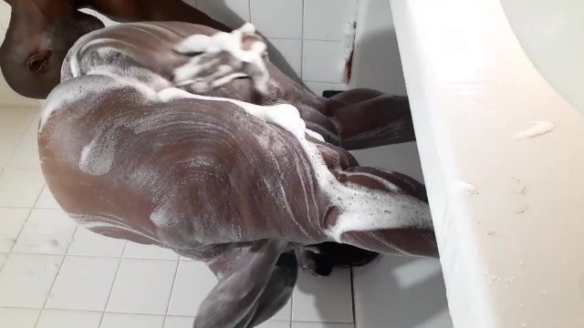 Thot in Texas - Mature Amateur African American Milf Full Nude Big Ass Thick Ebony